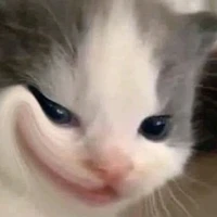 T/g bị bệnh lười 💤