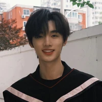 Đinh Trình Hâm - cậu