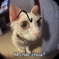 cá vàng