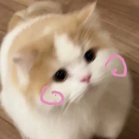 Ngtran