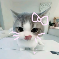 Dương_Mèo