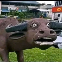 Giáo viên