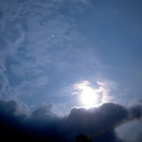 ✧nhân vật bí ẩn✡︎