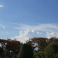 Hs nữ lớp 1-1 / khu Furin /