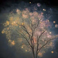 ᴍɪɴʜʜɪᴇᴜᴜ🐺