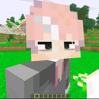 :hiha BNHA.