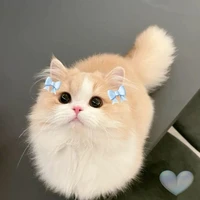 ????