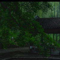 Chưa lộ diện.