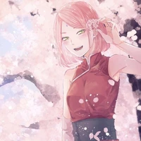 sakura
