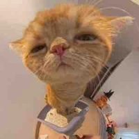 Nhỏ tác giả nè 💗