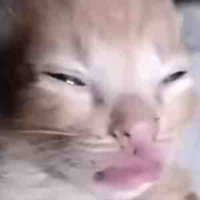 All