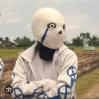 alpha sans