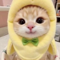 H/T cute hột me