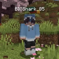Bigshark 