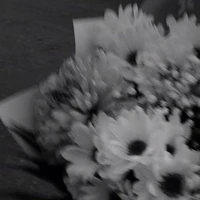 [|_Người Bí Ẩn ?_|]