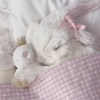 T/g ham ngủ⋆˚🖇️༘⋆