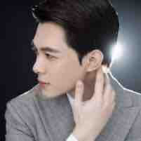 Bùi Anh Tú