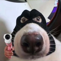 T/g éo le=))