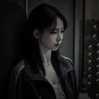 Lưu Trí Mẫn