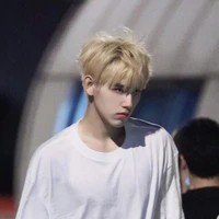 lục gia vũ