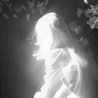 𝐅𝐮𝐣𝐢𝐤𝐚 𝐤𝐚𝐨𝐫𝐢