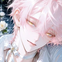 Willams Virgo (20)