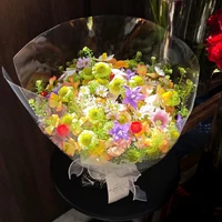 t/g phá nhà đã tới 