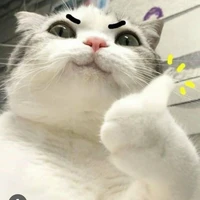tg đu rhycap