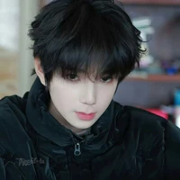 Vương Lỗ Kiệt