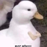 All