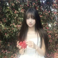 chu hải linh