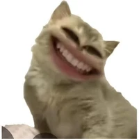 tác giả mến iu :3