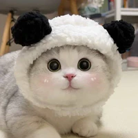 t/g họ Nguyễn><