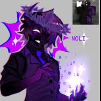 noli