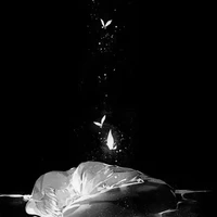 All ( trừ vài người )