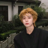 Phan Hoàng Sư Tử