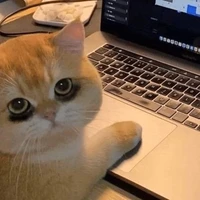 hệ thống depzai 👁️🫦👁️💅