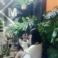 tác giả