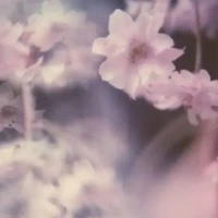 Cân tất cả nhân vật