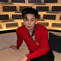 Dương Domic