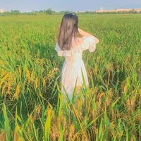 Ngọc Ánh - Bánh Bèo