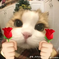 t/g  lười viết truyện