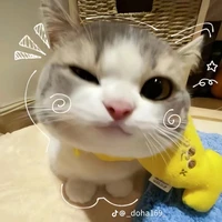 all