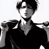 Levi
