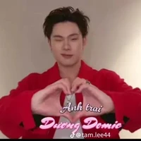 Trần Đăng Dương(Dương Domic)