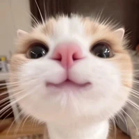 tg