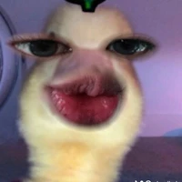 t/g bị lé biên...