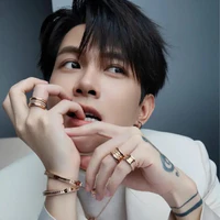 Bùi Anh Tú