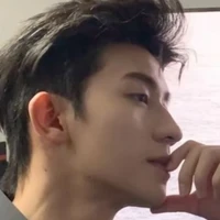 Thương Viêm Duật