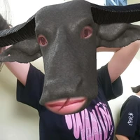 Bạn Trâu thân thiện 🐃🥰